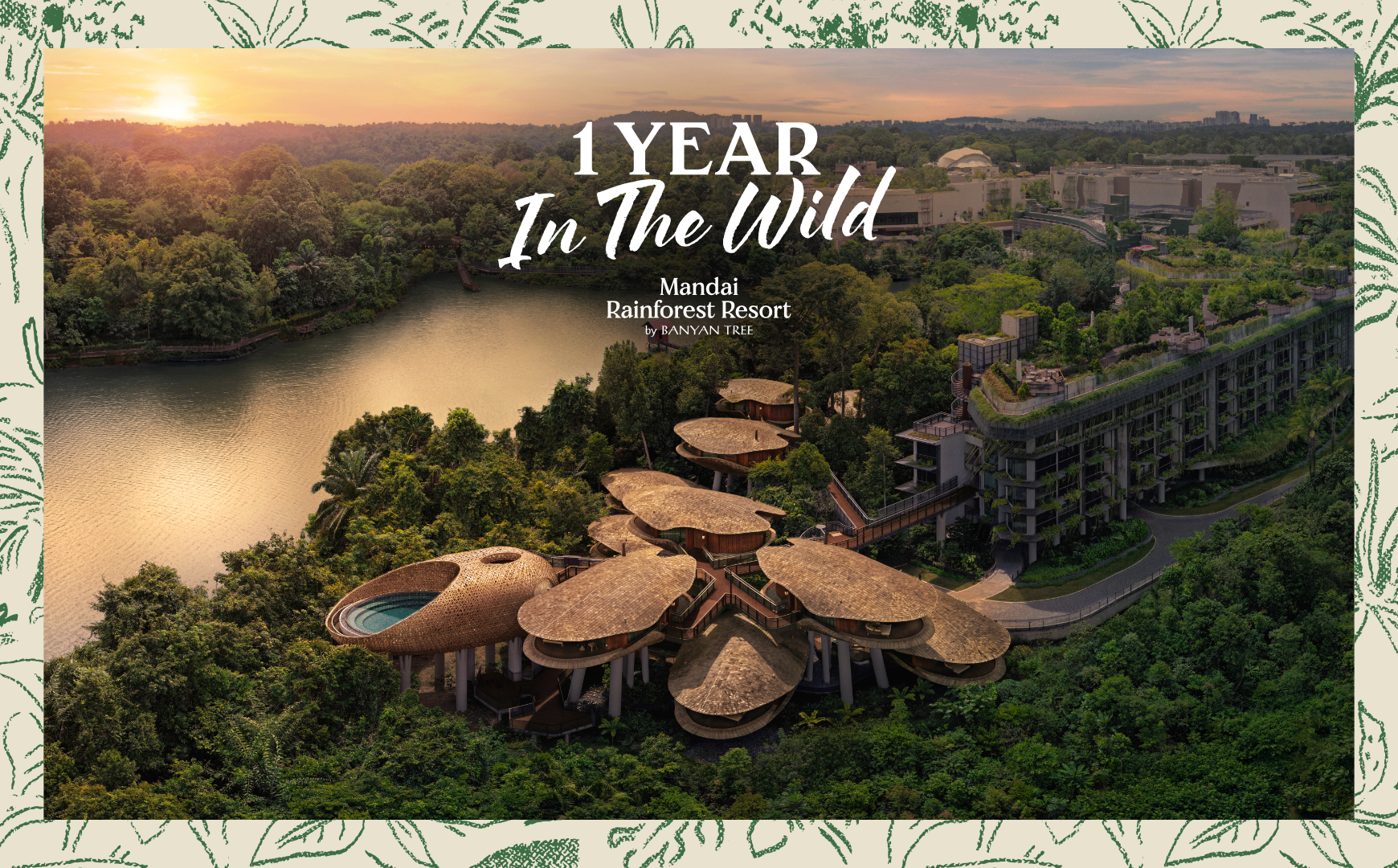 one-year-in-the-wild-mrr-mandai rainforest resort-2.png one-year-in-the-wild-mrr-mandai rainforest resort-2.png